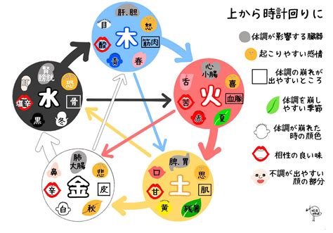 陰陽五行 木 性格